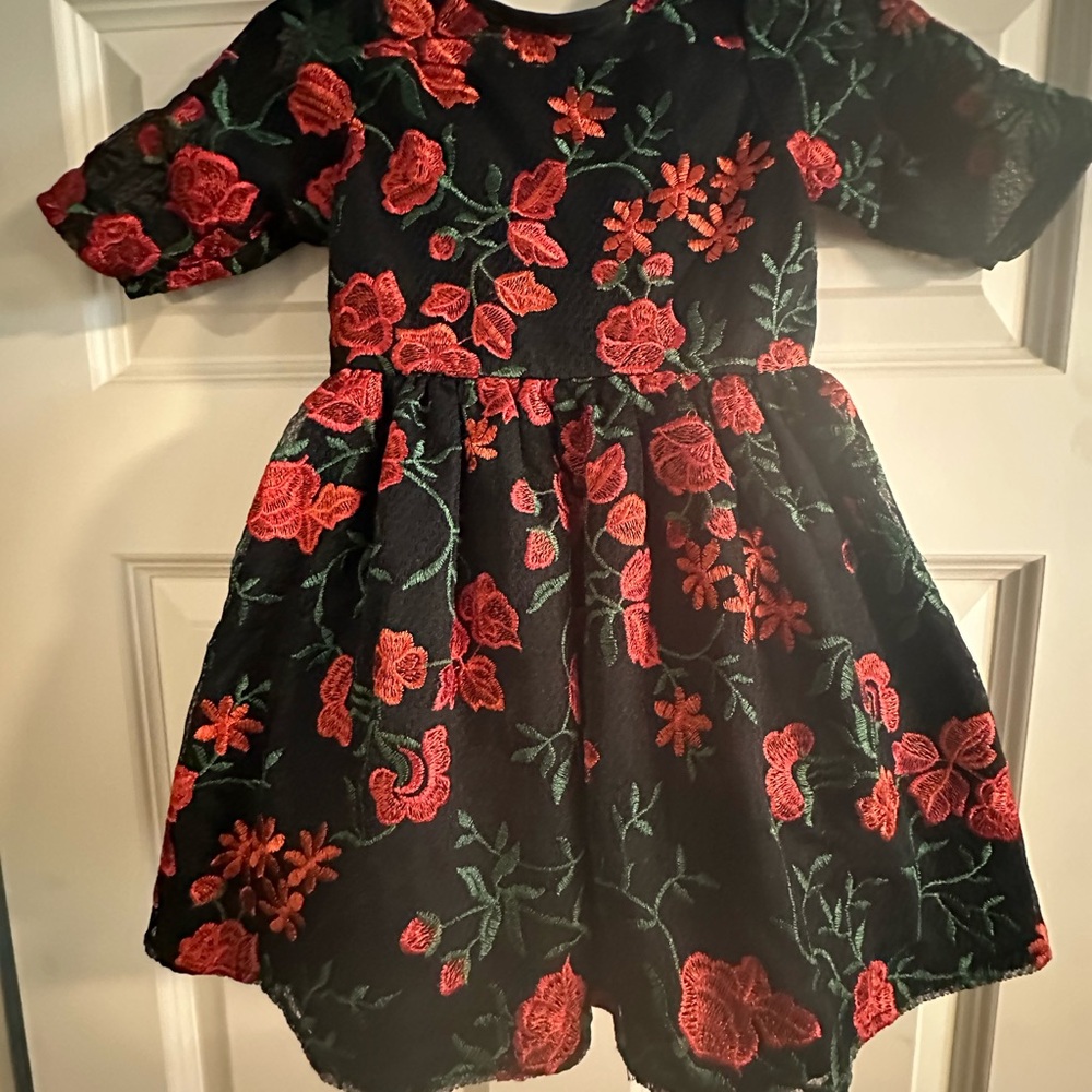 Laura Ashley Black & Red Floral Embroidered Rose Dress